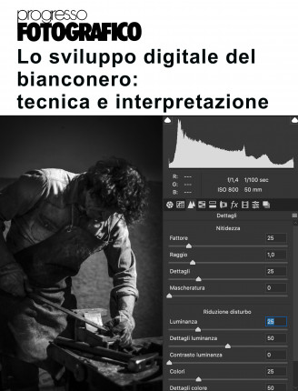 Lo sviluppo digitale del bianconero: tecnica e interpretazione